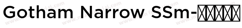 Gotham Narrow SSm字体转换
